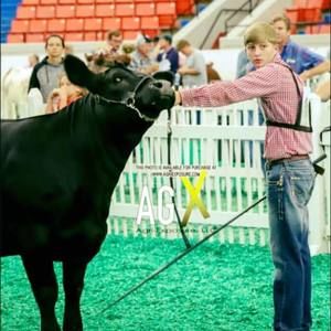 Meet your Posher, Blake